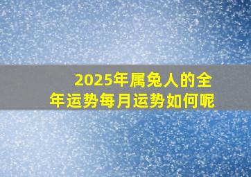 2025年属兔人的全年运势每月运势如何呢