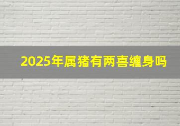 2025年属猪有两喜缠身吗