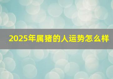 2025年属猪的人运势怎么样