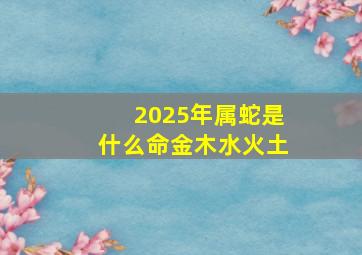 2025年属蛇是什么命金木水火土