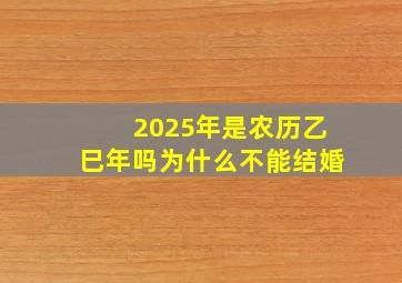 2025年是农历乙巳年吗为什么不能结婚