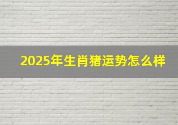 2025年生肖猪运势怎么样