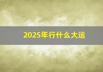 2025年行什么大运