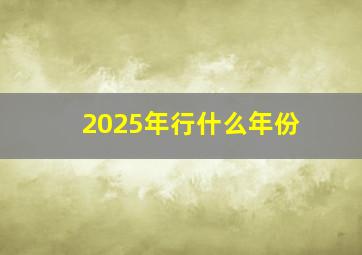 2025年行什么年份