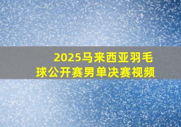 2025马来西亚羽毛球公开赛男单决赛视频