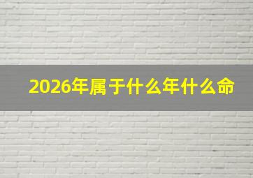 2026年属于什么年什么命