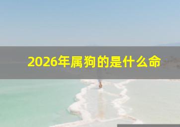 2026年属狗的是什么命