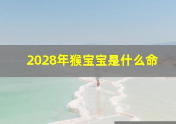 2028年猴宝宝是什么命