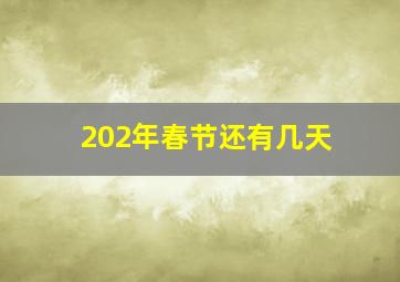 202年春节还有几天