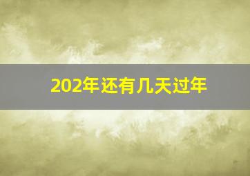 202年还有几天过年