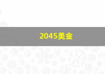 2045美金