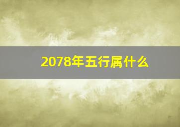 2078年五行属什么