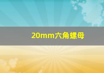 20mm六角螺母