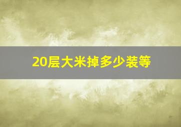 20层大米掉多少装等