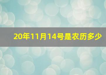 20年11月14号是农历多少