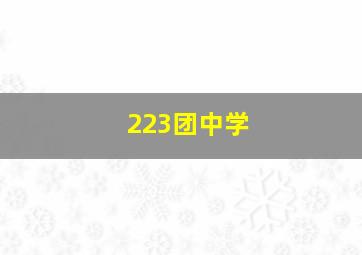 223团中学