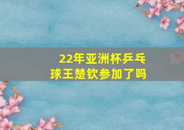 22年亚洲杯乒乓球王楚钦参加了吗