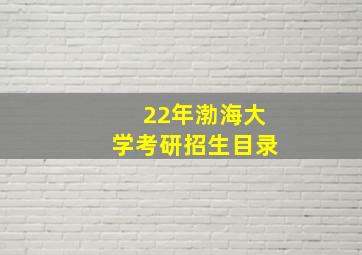 22年渤海大学考研招生目录