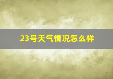 23号天气情况怎么样