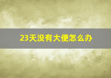 23天没有大便怎么办