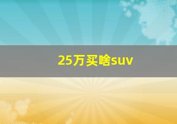 25万买啥suv