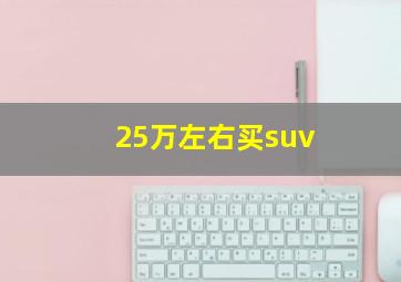 25万左右买suv