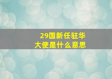 29国新任驻华大使是什么意思