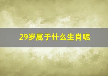 29岁属于什么生肖呢