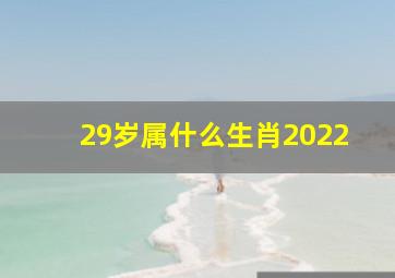 29岁属什么生肖2022