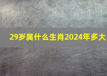 29岁属什么生肖2024年多大