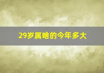 29岁属啥的今年多大