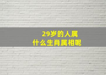 29岁的人属什么生肖属相呢