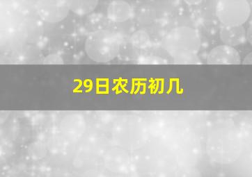 29日农历初几