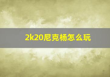 2k20尼克杨怎么玩