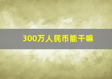 300万人民币能干嘛