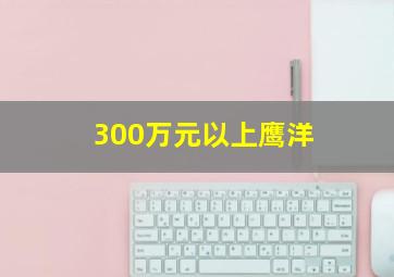 300万元以上鹰洋