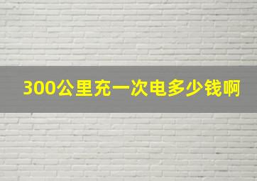 300公里充一次电多少钱啊