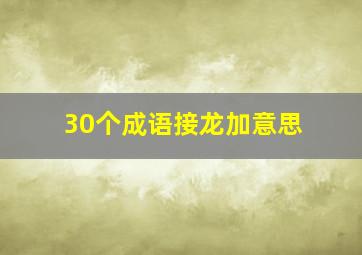 30个成语接龙加意思