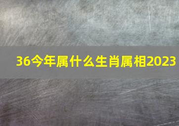 36今年属什么生肖属相2023