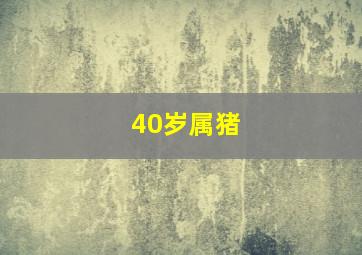 40岁属猪