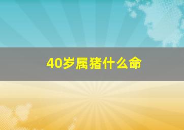 40岁属猪什么命