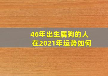 46年出生属狗的人在2021年运势如何