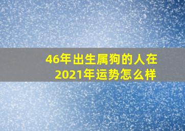 46年出生属狗的人在2021年运势怎么样