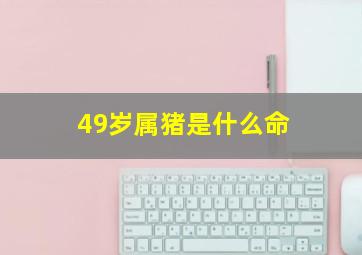 49岁属猪是什么命