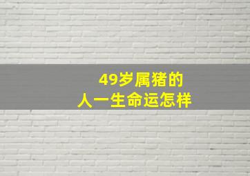 49岁属猪的人一生命运怎样