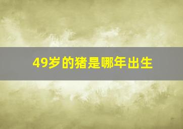 49岁的猪是哪年出生