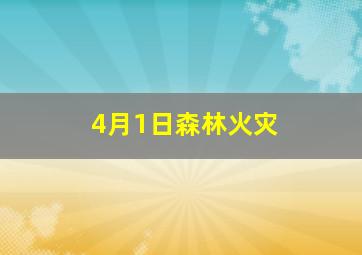 4月1日森林火灾