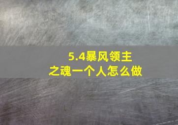 5.4暴风领主之魂一个人怎么做