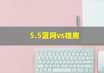 5.5篮网vs雄鹿