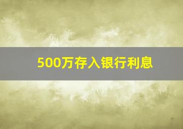 500万存入银行利息